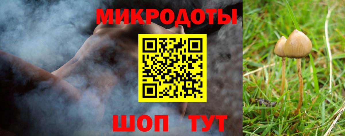 Волжский  Галлюциногенные грибы Psilocybine cubensis  Вход с VPN  Псилоцибиновые грибы ЛСД 